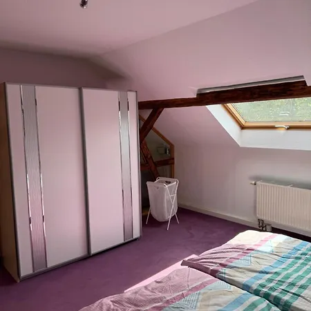 Gästewohnung Mit Privater Dachterrasse Zentrumsnahe Lage * Gera